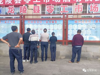 龍陵 多維度促進(jìn)就業(yè)創(chuàng)業(yè)，高質(zhì)量托穩(wěn)民生幸福——職業(yè)中介服務(wù)的核心角色與創(chuàng)新實踐